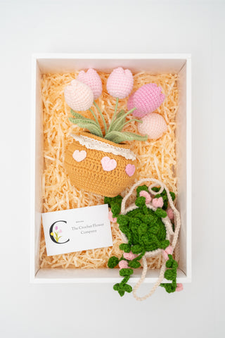 ชุดของขวัญ 2