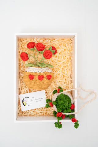 ชุดของขวัญ 3