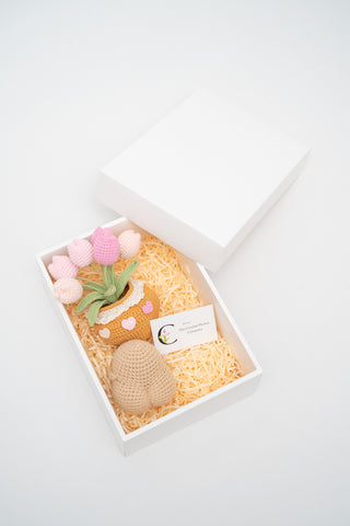 ชุดของขวัญ - บิ๊ก บูตี้ โปเตโต้