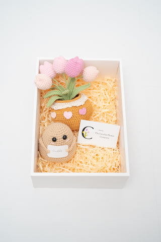 ชุดของขวัญ - บิ๊ก บูตี้ โปเตโต้