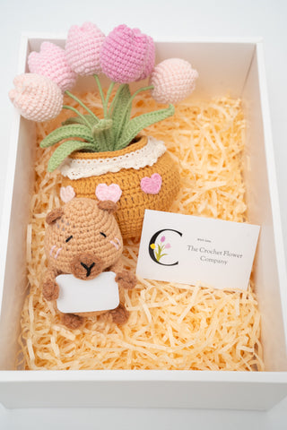 ชุดของขวัญ - คาปิบาร่า