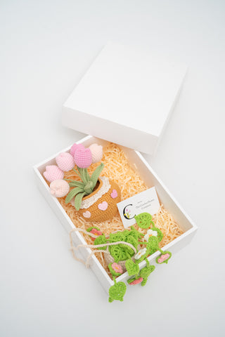 ชุดของขวัญ 1