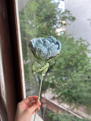 Garden Rose