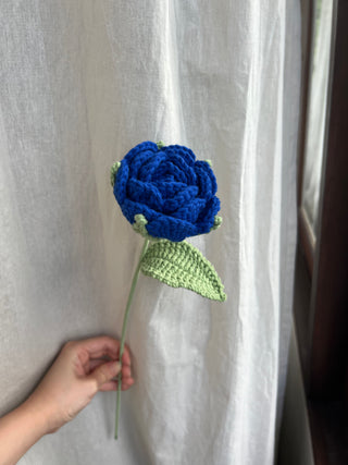 Garden Rose