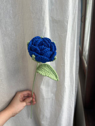 Garden Rose