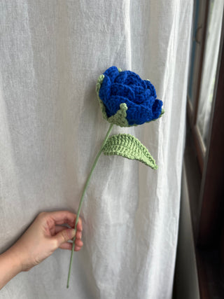 Garden Rose