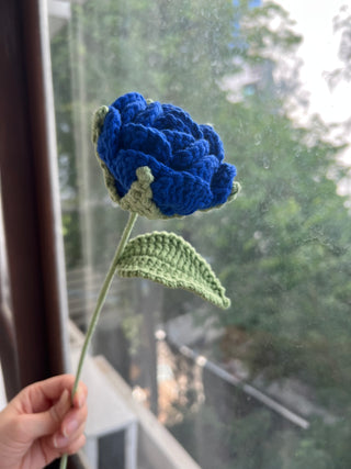 Garden Rose