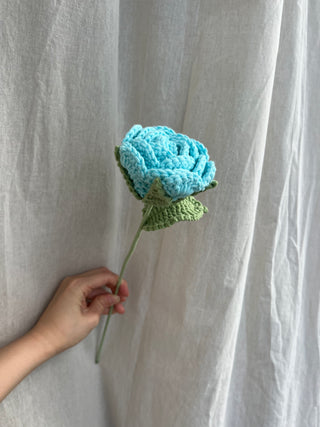 Garden Rose