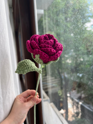 Garden Rose