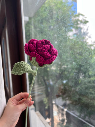 Garden Rose