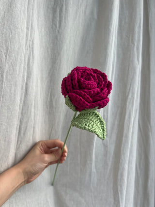 Garden Rose