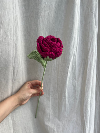 Garden Rose