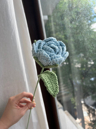 Garden Rose