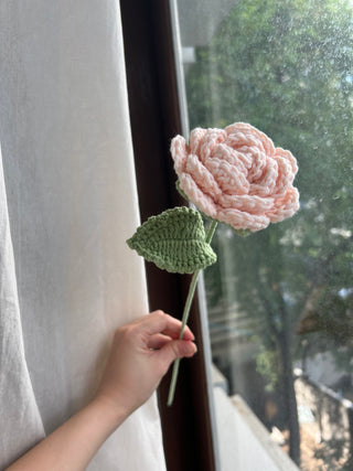 Garden Rose