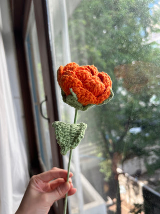 Garden Rose