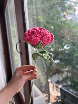 Garden Rose
