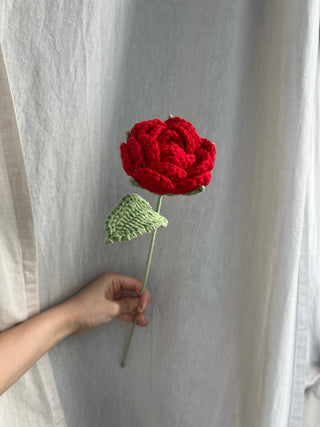 Garden Rose
