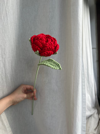 Garden Rose
