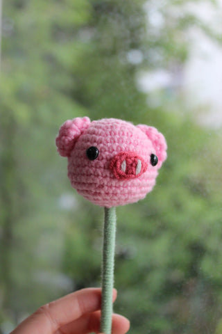 Pig
