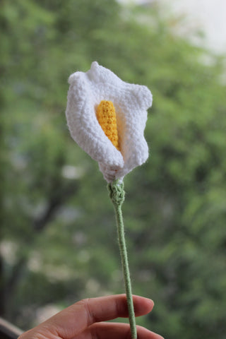 Small Calla Lily
