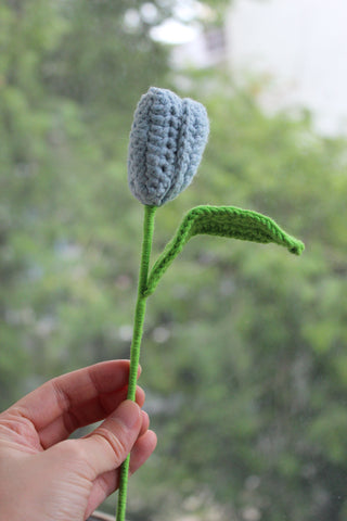 Tulip (Bud)