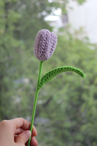 Tulip (Bud)