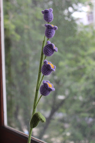 Lily of the Valley