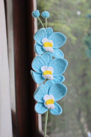 Orchid