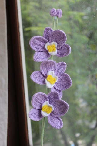 Orchid