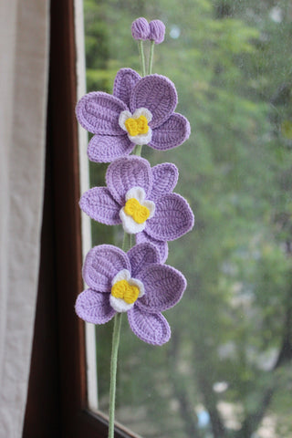 Orchid