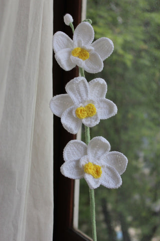 Orchid