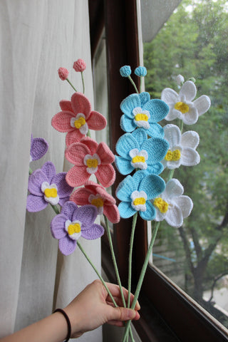 Orchid