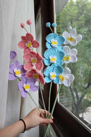 Orchid