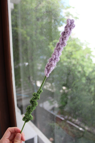 Lavender