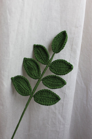 Ash Leaf