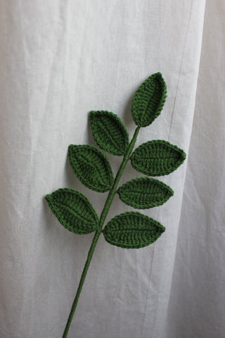 Ash Leaf