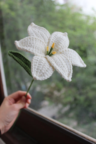 Simple Lily