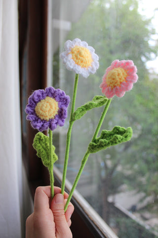 Small Daisy