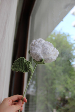 Garden Rose