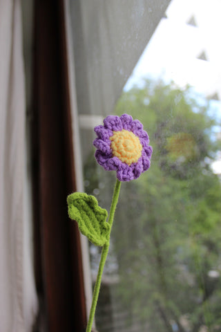 Small Daisy