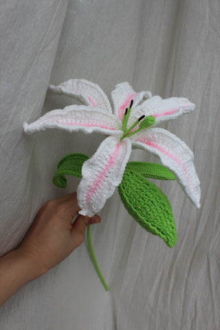 Oriental Lily