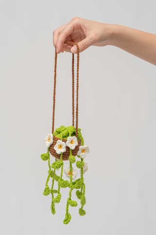 Light Green & Daisy Hanging House Plant