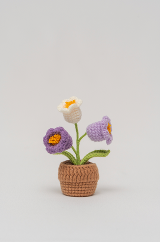 Lily of the Valley (Purple)